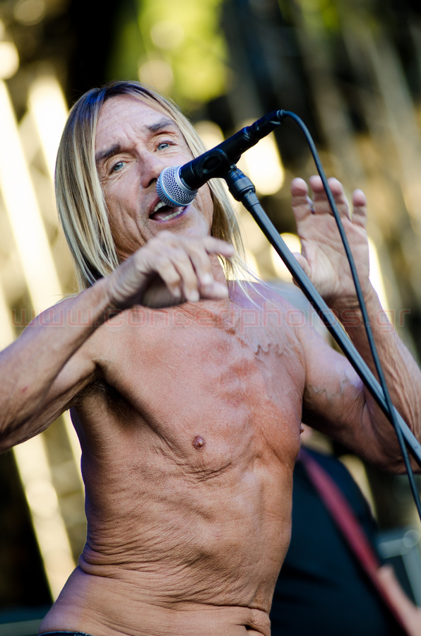 Iggy Pop-