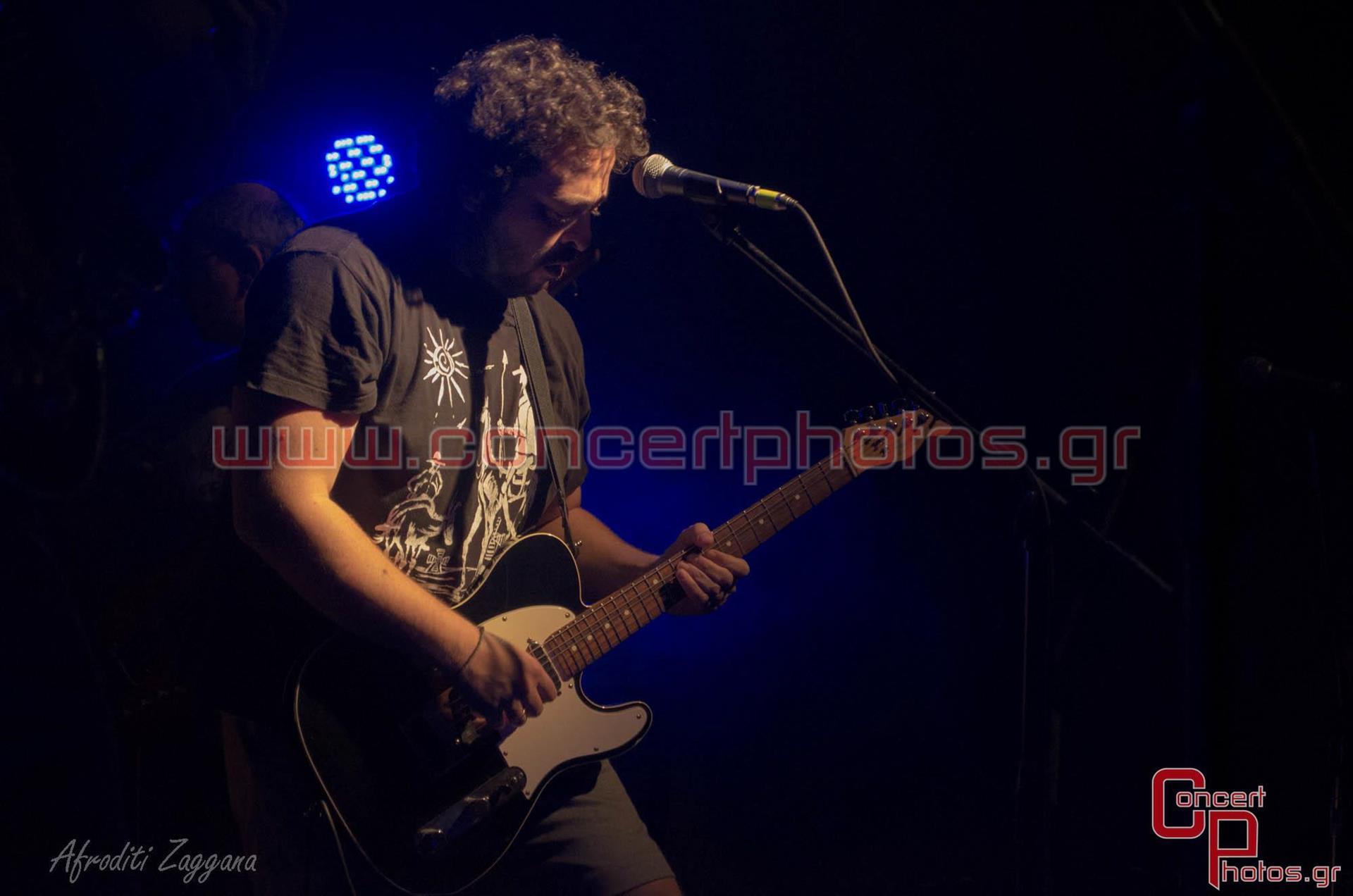 Locomondo- photographer:  - ConcertPhotos-2914