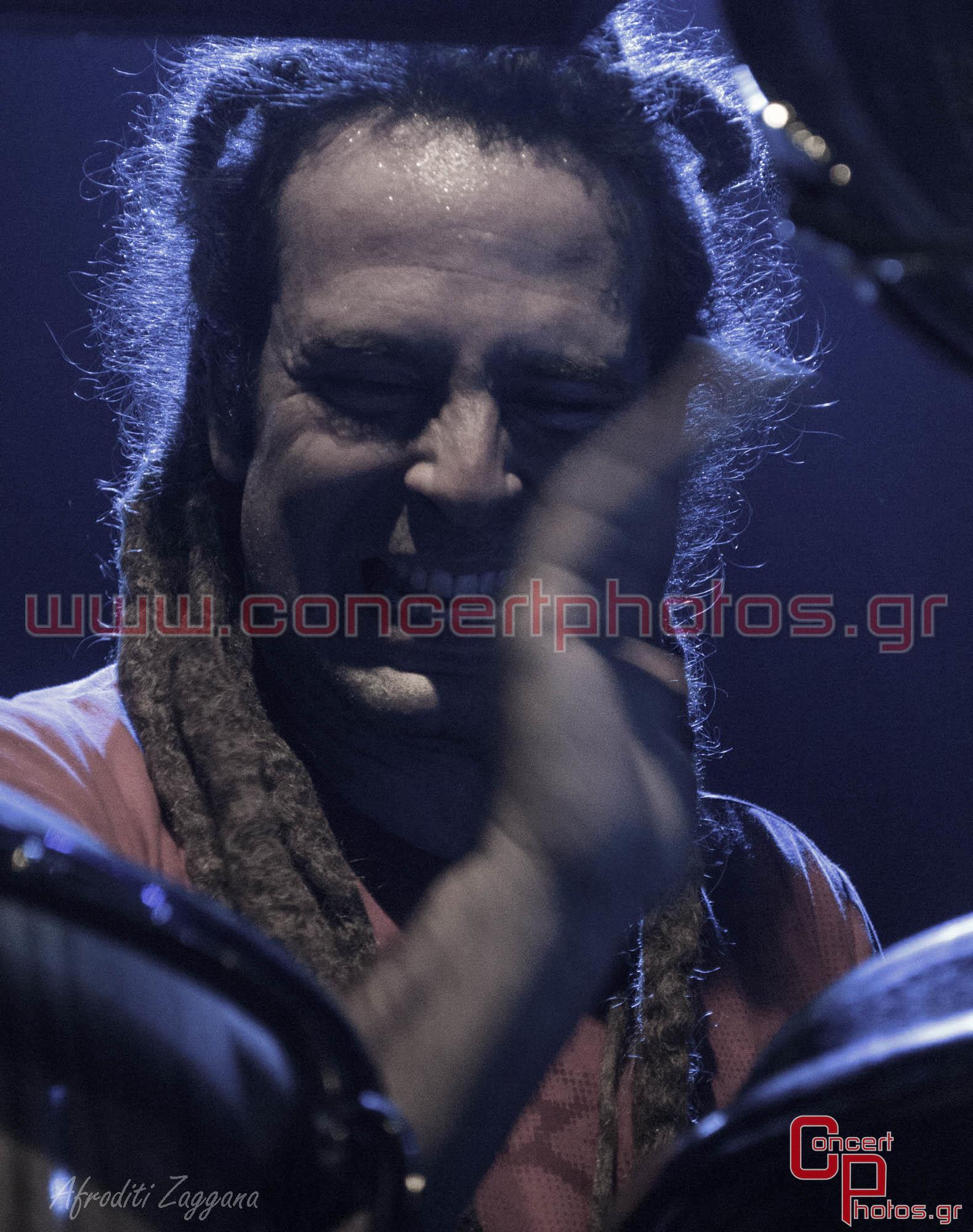 Locomondo- photographer:  - ConcertPhotos-2