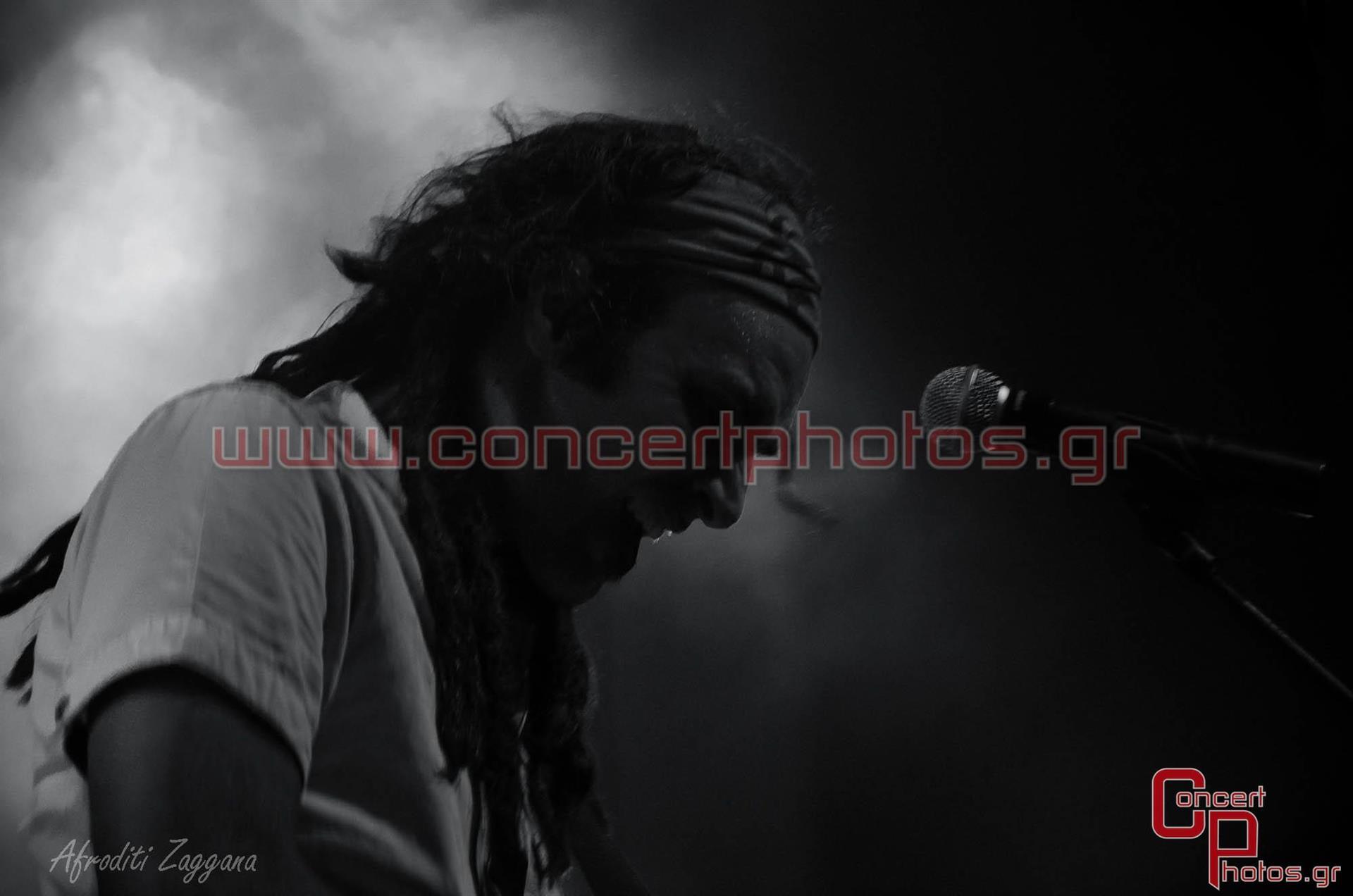 Locomondo- photographer:  - ConcertPhotos-2882