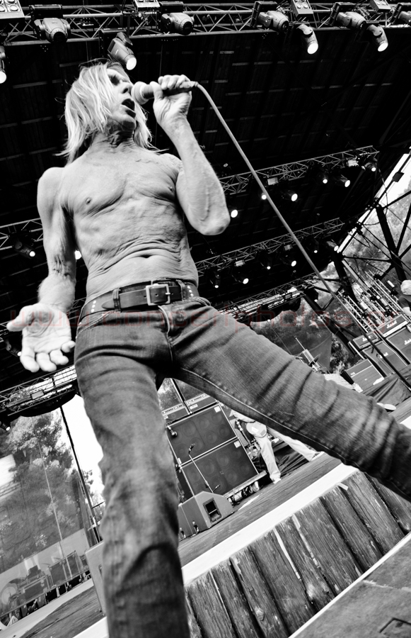 Iggy Pop-